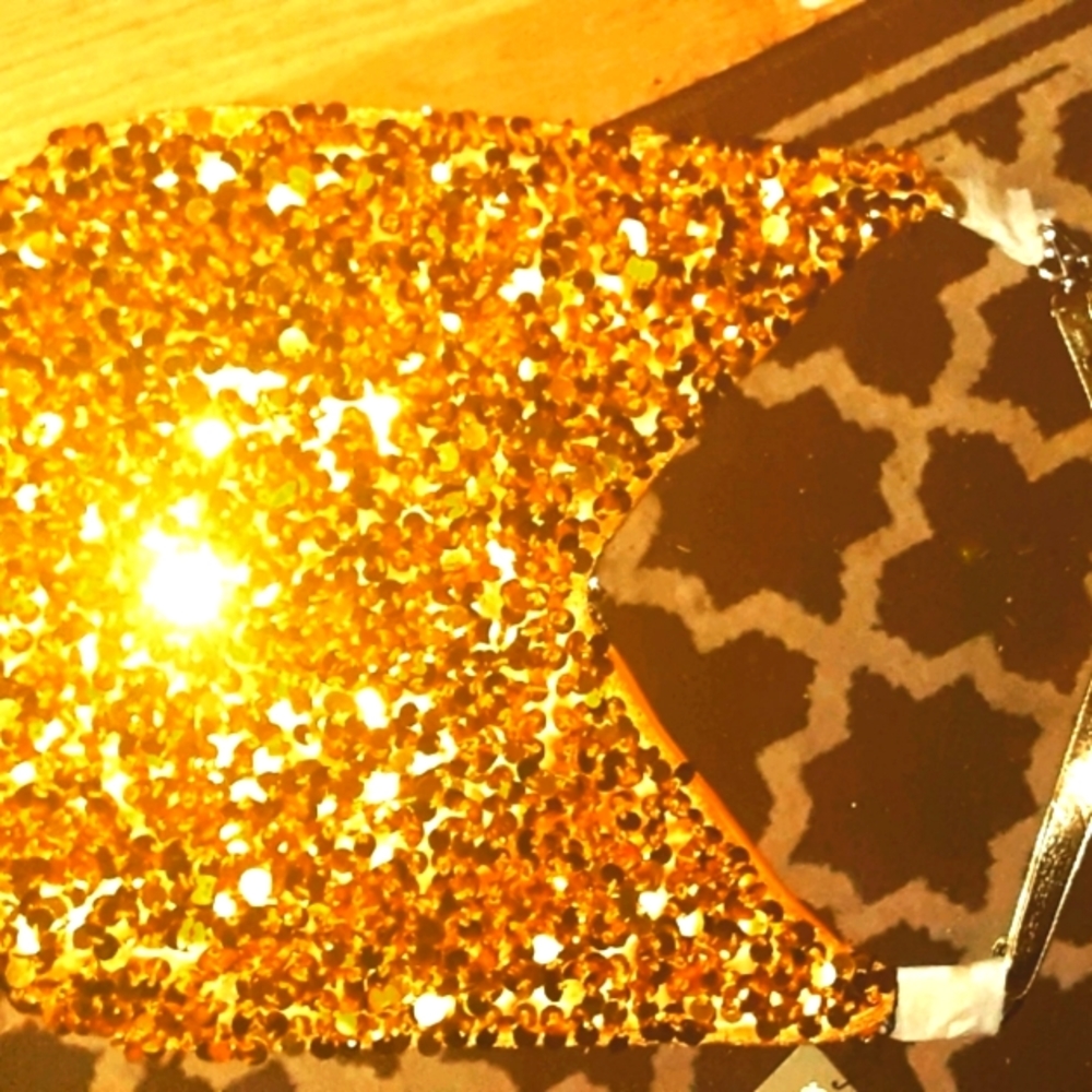 Blingy gold sequin hobo Bag